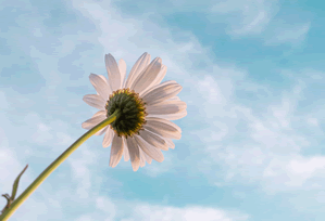 切尔西五场不胜，蓝军欧冠小组赛将面临巨大压力